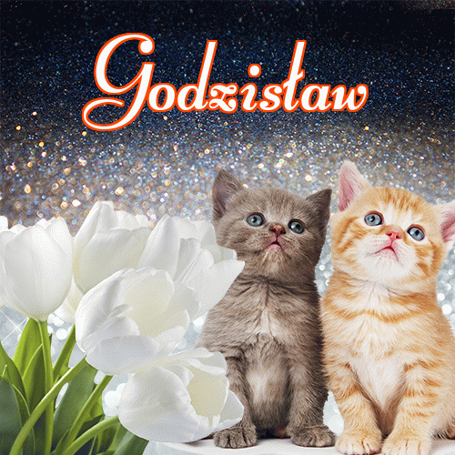 Miłego wieczoru i dobrej nocy życzę!。 