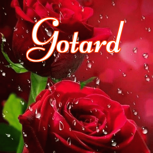 Miłego wieczoru i dobrej nocy życzę!。 