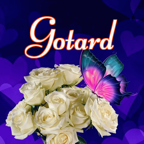 Miłego wieczoru i dobrej nocy życzę!。 