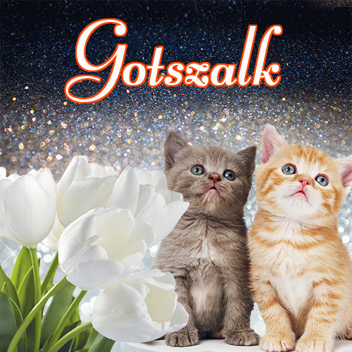 Miłego wieczoru i dobrej nocy życzę!。 