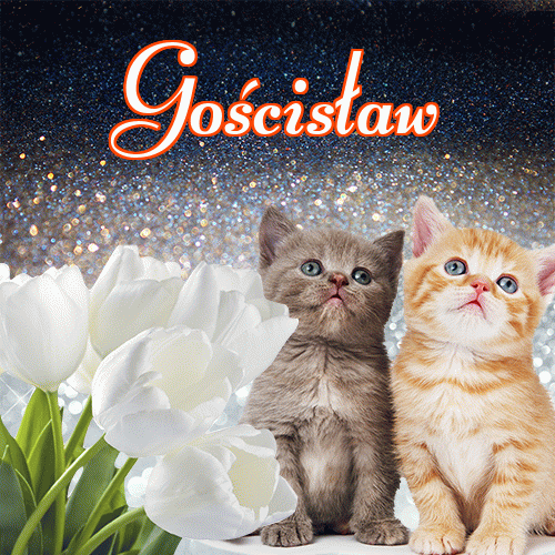 Miłego wieczoru i dobrej nocy życzę!。 