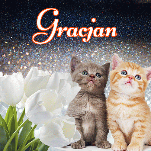 Miłego wieczoru i dobrej nocy życzę!。 