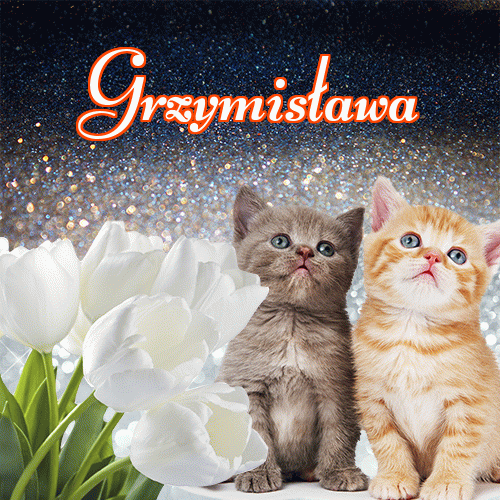 Miłego wieczoru i dobrej nocy życzę!。 