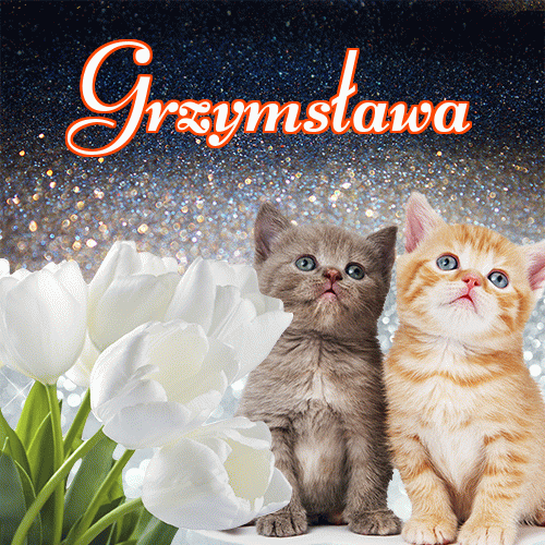 Miłego wieczoru i dobrej nocy życzę!。 