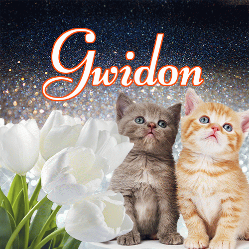 Miłego wieczoru i dobrej nocy życzę!。 