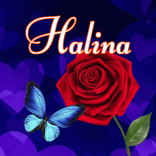 Miłego wieczoru i dobrej nocy życzę!。 