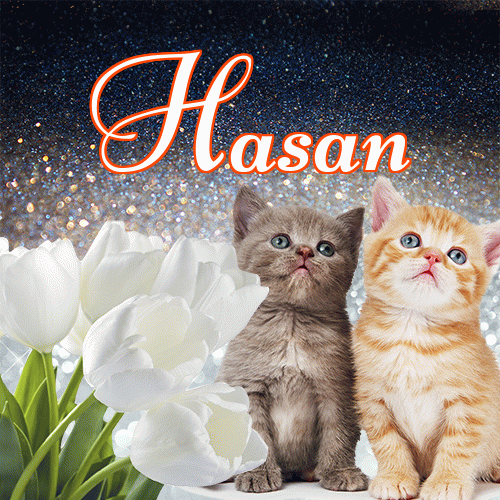 Miłego wieczoru i dobrej nocy życzę!。 