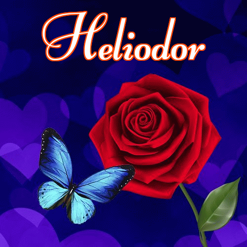 Miłego wieczoru i dobrej nocy życzę!。 