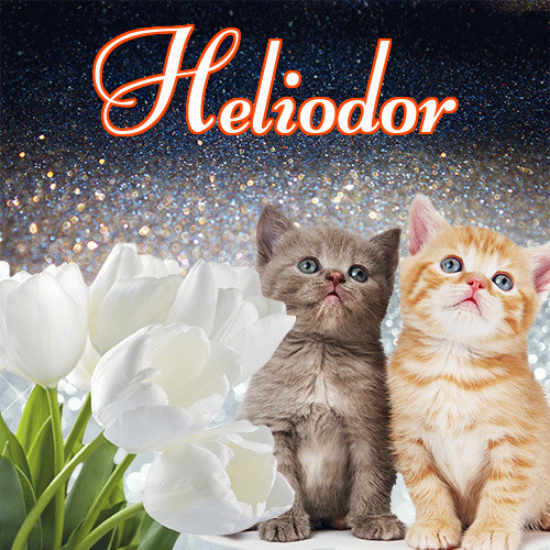 Miłego wieczoru i dobrej nocy życzę!。 