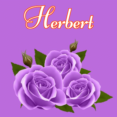 Miłego wieczoru i dobrej nocy życzę!。 