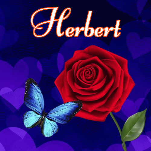 Miłego wieczoru i dobrej nocy życzę!。 