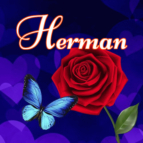 Miłego wieczoru i dobrej nocy życzę!。 