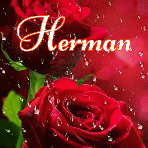 Miłego wieczoru i dobrej nocy życzę!。 