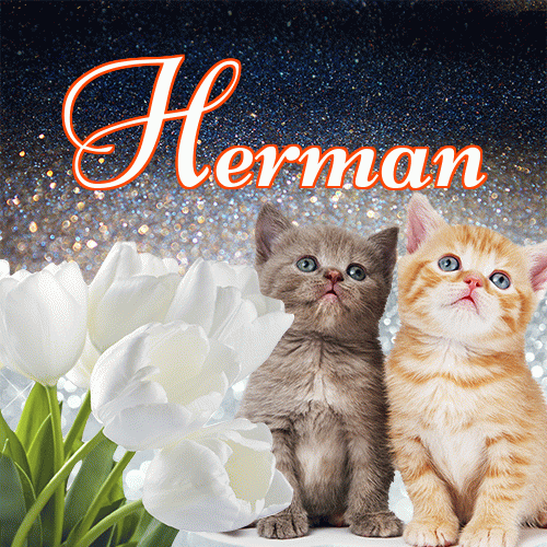 Miłego wieczoru i dobrej nocy życzę!。 