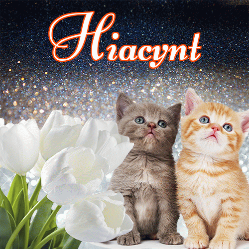 Miłego wieczoru i dobrej nocy życzę!。 