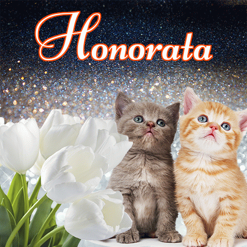 Miłego wieczoru i dobrej nocy życzę!。 