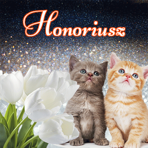 Miłego wieczoru i dobrej nocy życzę!。 