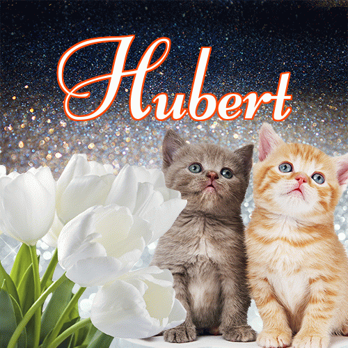 Miłego wieczoru i dobrej nocy życzę!。 