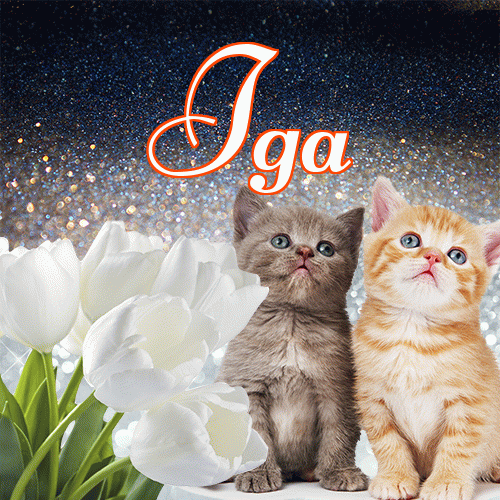 Miłego wieczoru i dobrej nocy życzę!。 