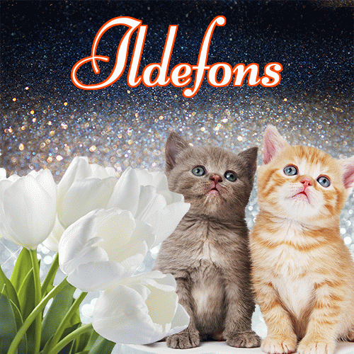 Miłego wieczoru i dobrej nocy życzę!。 