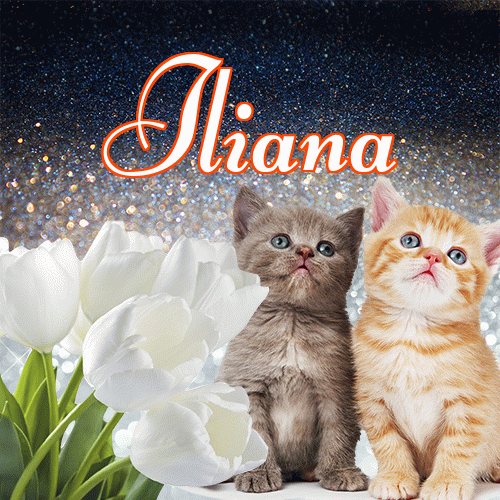 Miłego wieczoru i dobrej nocy życzę!。 