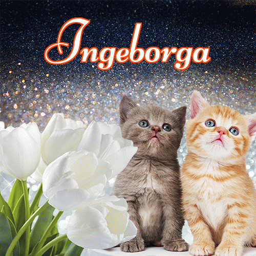 Miłego wieczoru i dobrej nocy życzę!。 