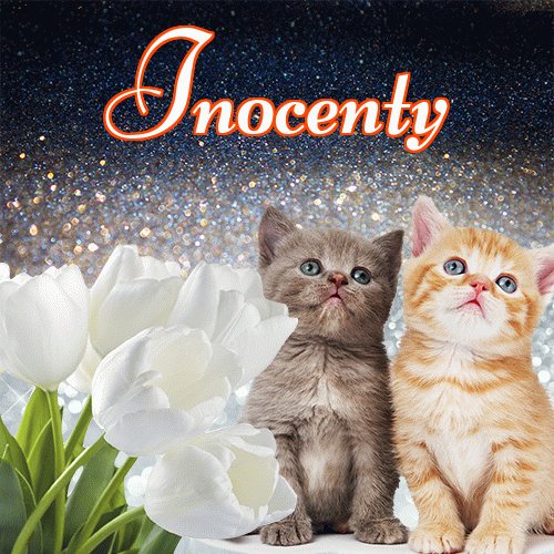 Miłego wieczoru i dobrej nocy życzę!。 