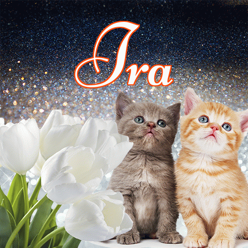 Miłego wieczoru i dobrej nocy życzę!。 