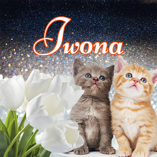 Miłego wieczoru i dobrej nocy życzę!。 