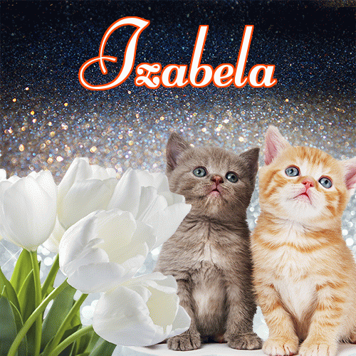 Miłego wieczoru i dobrej nocy życzę!。 