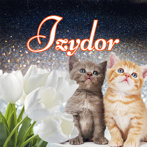 Miłego wieczoru i dobrej nocy życzę!。 