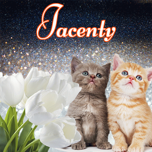 Miłego wieczoru i dobrej nocy życzę!。 