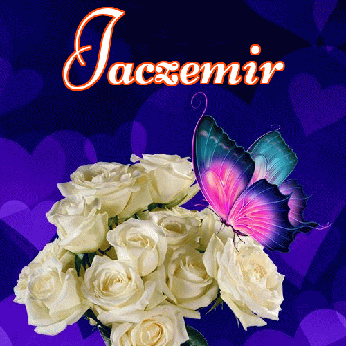 Miłego wieczoru i dobrej nocy życzę!。 