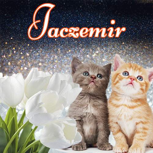 Miłego wieczoru i dobrej nocy życzę!。 