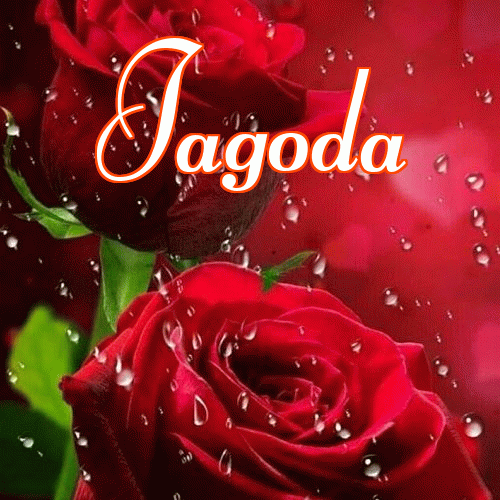 Miłego wieczoru i dobrej nocy życzę!。 