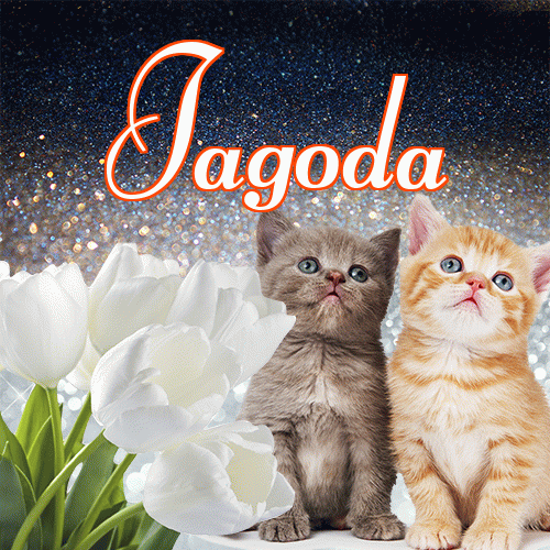 Miłego wieczoru i dobrej nocy życzę!。 