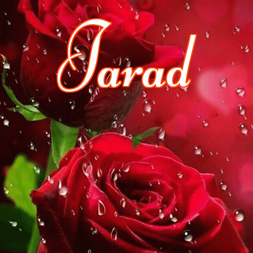 Miłego wieczoru i dobrej nocy życzę!。 