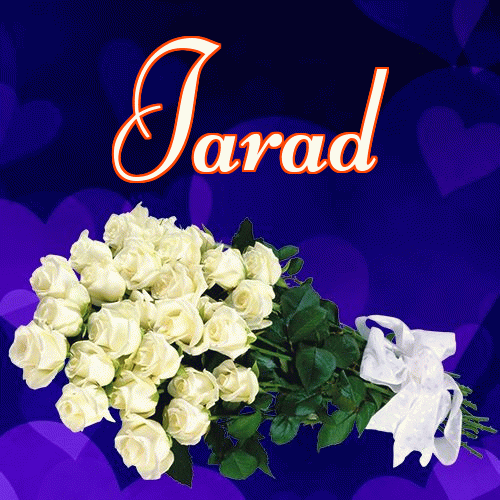 Miłego wieczoru i dobrej nocy życzę!。 