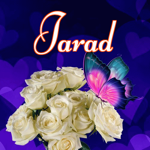 Miłego wieczoru i dobrej nocy życzę!。 