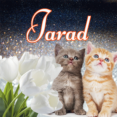 Miłego wieczoru i dobrej nocy życzę!。 