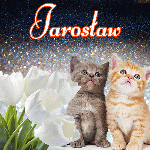 Miłego wieczoru i dobrej nocy życzę!。 