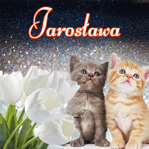 Miłego wieczoru i dobrej nocy życzę!。 