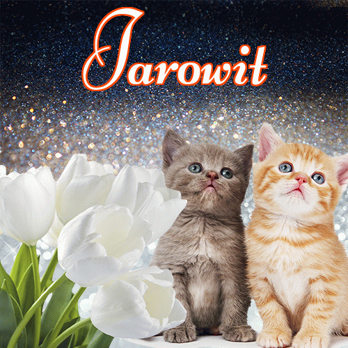 Miłego wieczoru i dobrej nocy życzę!。 