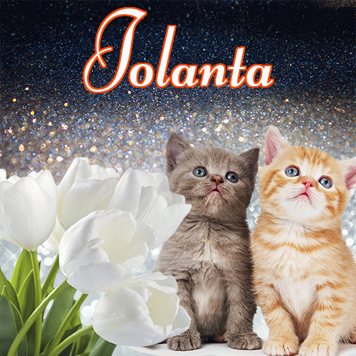 Miłego wieczoru i dobrej nocy życzę!。 