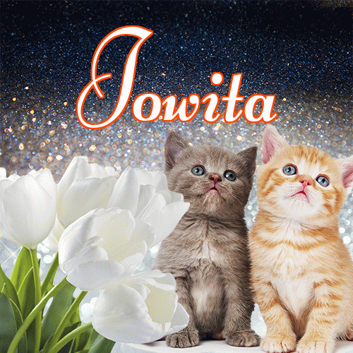 Miłego wieczoru i dobrej nocy życzę!。 