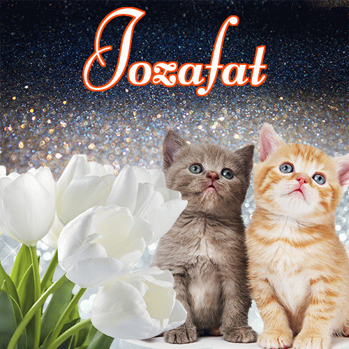 Miłego wieczoru i dobrej nocy życzę!。 