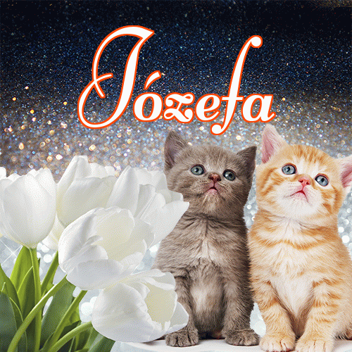 Miłego wieczoru i dobrej nocy życzę!。 