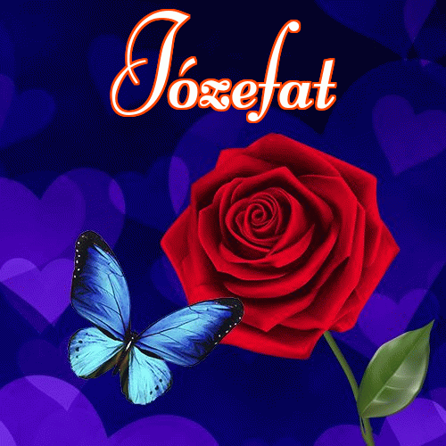 Miłego wieczoru i dobrej nocy życzę!。 