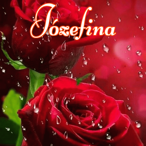 Miłego wieczoru i dobrej nocy życzę!。 