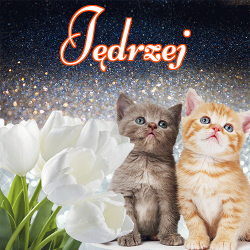 Miłego wieczoru i dobrej nocy życzę!。 